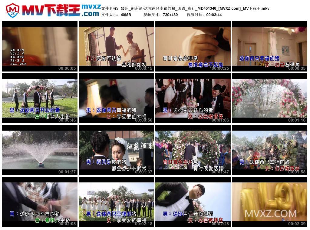 媛乐_胡东清-送你两只幸福的猪_国语_流行_MD401346